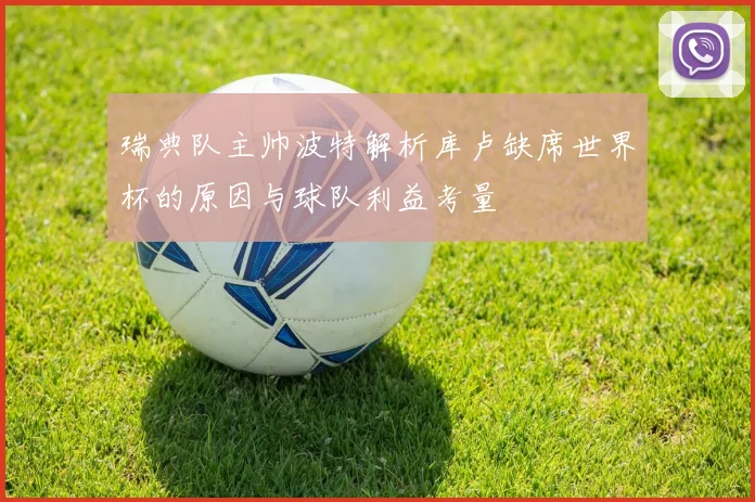 瑞典队主帅波特解析库卢缺席世界杯的原因与球队利益考量